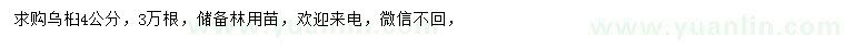 求購(gòu)4公分烏桕