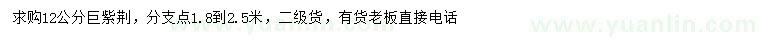 求購(gòu)12公分巨紫荊