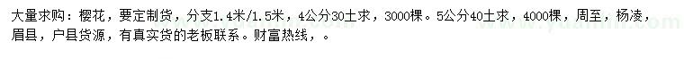 求購(gòu)4公分櫻花