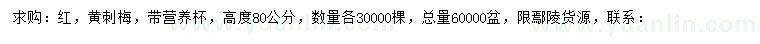 求購(gòu)紅，黃刺梅