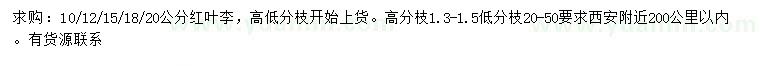 求購(gòu)10、12、15、18、20公分紅葉李
