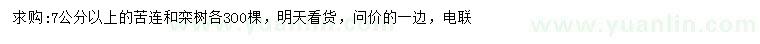 求購7公分以上苦楝、欒樹