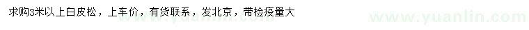 求購3米白皮松