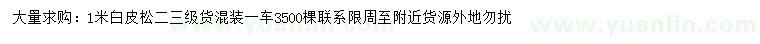 求購(gòu)1米白皮松