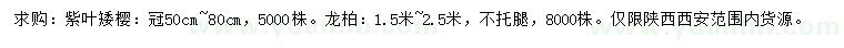求購冠幅50公分以上紫葉矮櫻