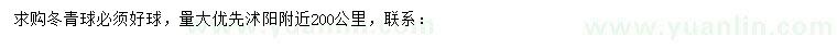 求購冬青球
