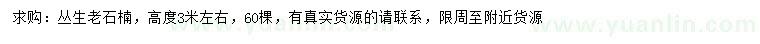 求購高3米左右叢生老石楠
