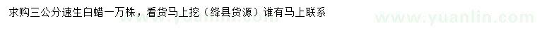 求購3公分速生白蠟