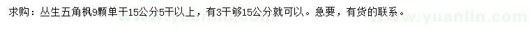 求購15公分叢生五角楓