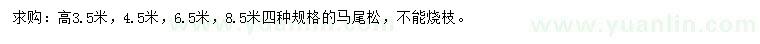 求購高3.5、4.5、6.5、8.5米馬尾松