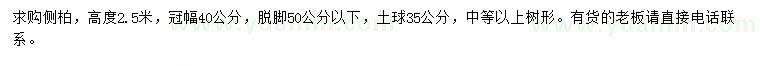 求購高2.5米側(cè)柏