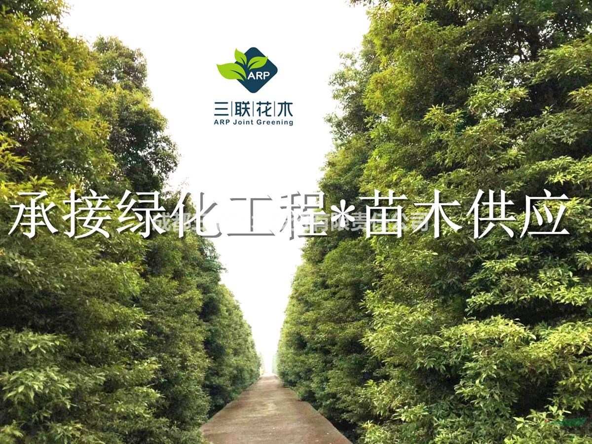 楨楠 成都基地大量出售 價(jià)格美麗