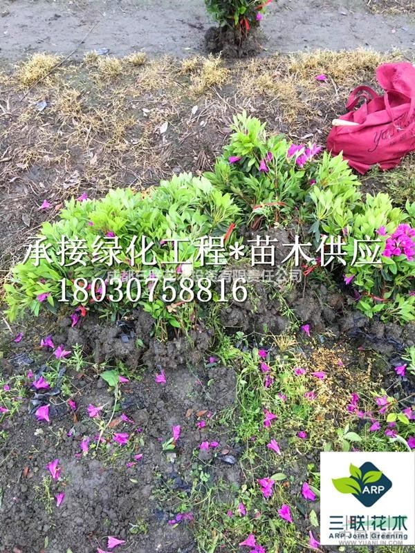 毛娟 成都基地大量出售 貨美價(jià)優(yōu)