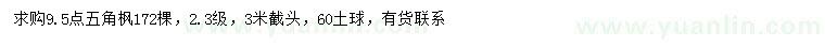求購9.5公分五角楓