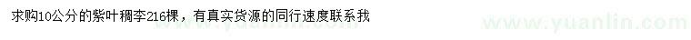 求購10公分紫葉稠李