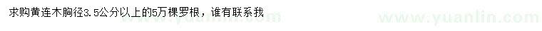 求購(gòu)胸徑3.5公分以上黃連木