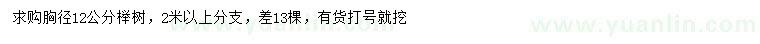 求購胸徑12公分櫸樹