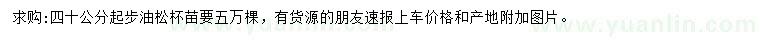 求購40公分以上油松