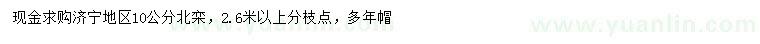 求購10公分北欒