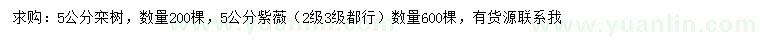 求購5公分欒樹