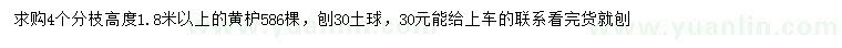 求購高1.8米以上黃枦