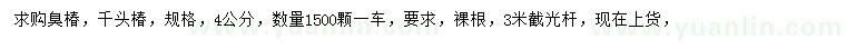 求購(gòu)臭椿、千頭椿