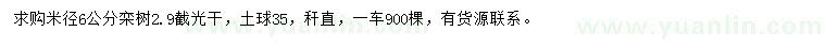 求購(gòu)米徑6公分欒樹