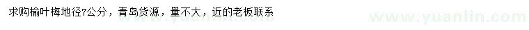 求購(gòu)地徑7公分榆葉梅