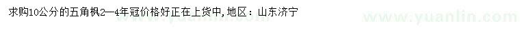 求購10公分五角楓