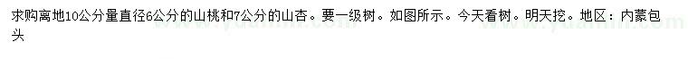 求購離地10公分量直徑6公分山桃、7公分山杏