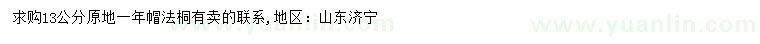 求購(gòu)13公分法桐