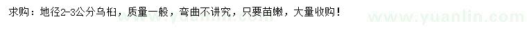 求購地徑2-3公分烏桕
