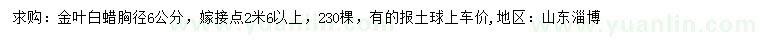 求購胸徑6公分金葉白蠟