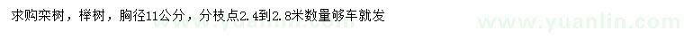 求購(gòu)胸徑11公分欒樹(shù)、櫸樹(shù)