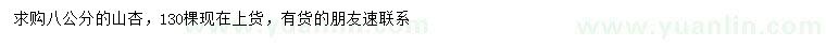 求購8公分山杏