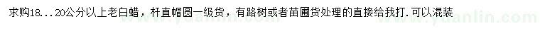 求購18-20公分老白蠟