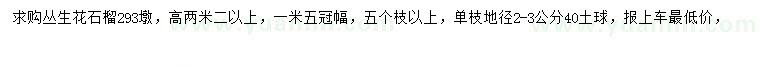 求購高2.2米以上叢生花石榴