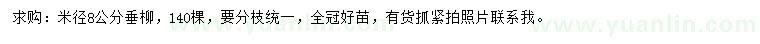 求購米徑8公分垂柳