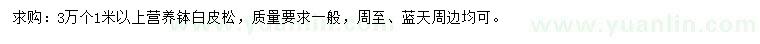 求購1米以上白皮松
