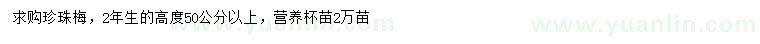 求購高50公分以上珍珠梅