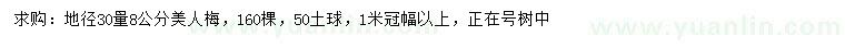 求購(gòu)地徑30量8公分美人梅