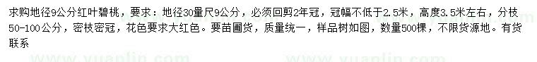 求購30量9公分紅葉碧桃