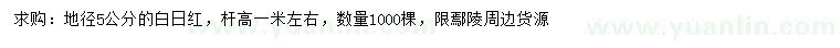 求購地徑5公分白日紅
