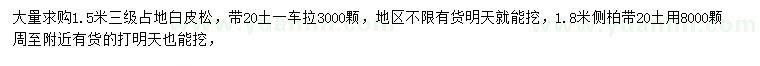 求購1.5米白皮松、1.8米側(cè)柏