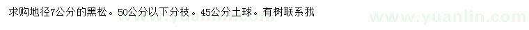 求購地徑7公分黑松