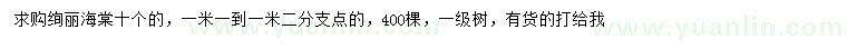 求購10公分絢麗海棠