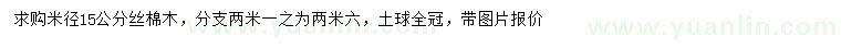 求購米徑15公分絲棉木