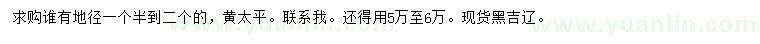 求購地徑1.5-2米黃太平
