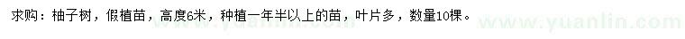 求購高6米柚子樹(shù)