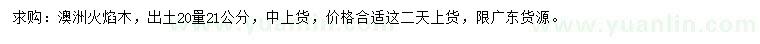 求購20公分量21公分澳洲火焰木